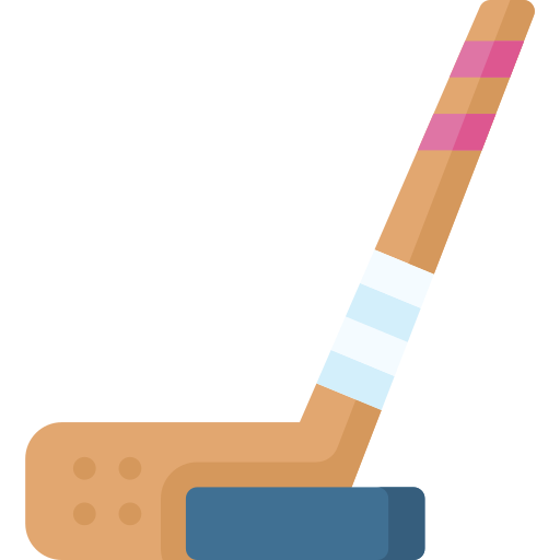 Hockey stick